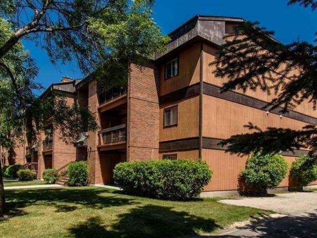 1 Bedroom Apartment Winnipeg MB LS96585666