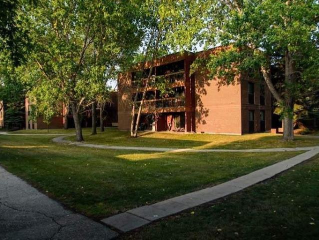 1 Bedroom Apartment Winnipeg MB LS96585679