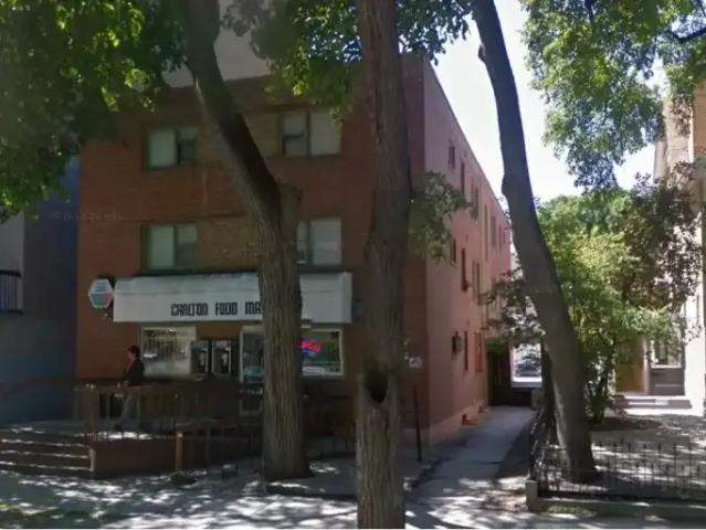 1 Bedroom Apartment Winnipeg MB 103090228
