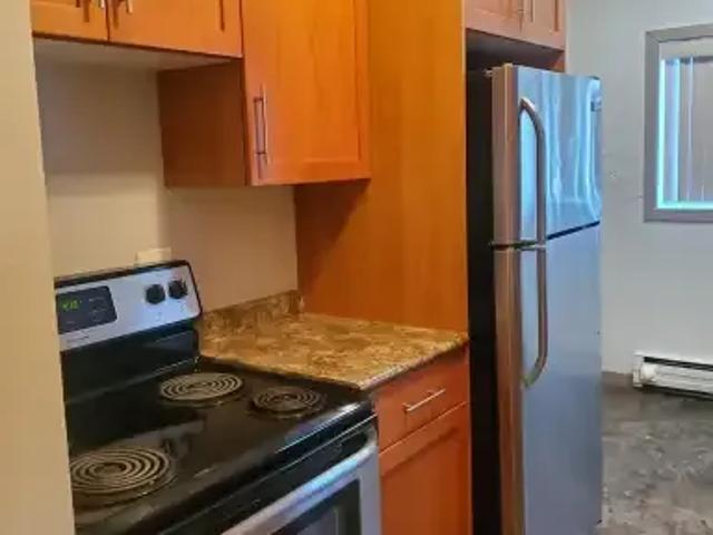 1 Bedroom Apartment Winnipeg MB 103920201