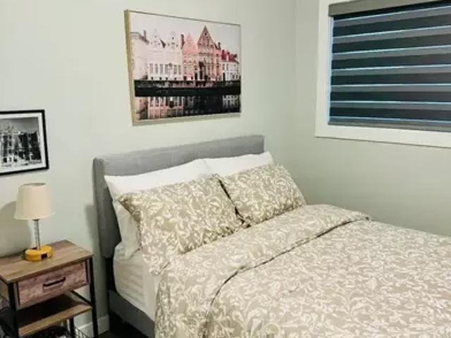 1 Bedroom Apartment Winnipeg MB 87313977