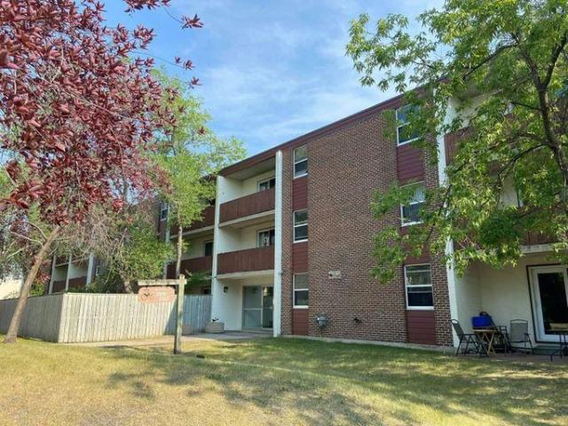 1 Bedroom Apartment Winnipeg MB 96586269