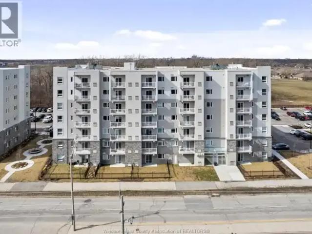 1 Bedroom Apartment Windsor ON 104142946