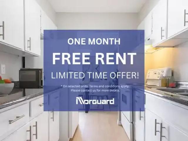 1 Bedroom Apartment Windsor ON 102847238