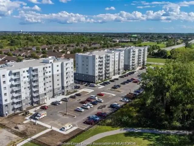 1 Bedroom Apartment Windsor ON 103380109