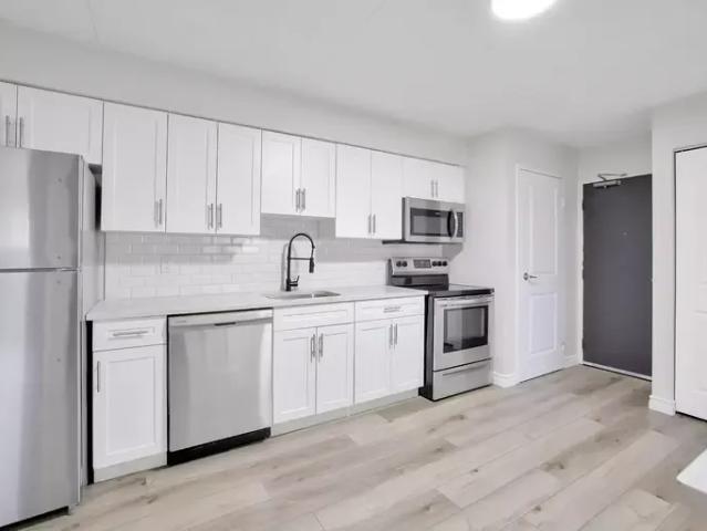 1 Bedroom Apartment Windsor ON LS100119595