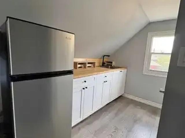1 Bedroom Apartment Windsor ON LS104106884