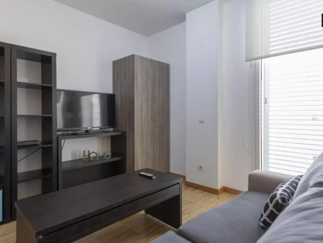 1 bedroom apartment with central heating and AC for rent in Madrid City Centre