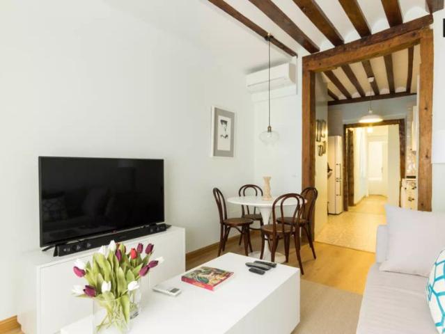 1 bedroom apartment with AC and balcony for rent in Madrid City Center