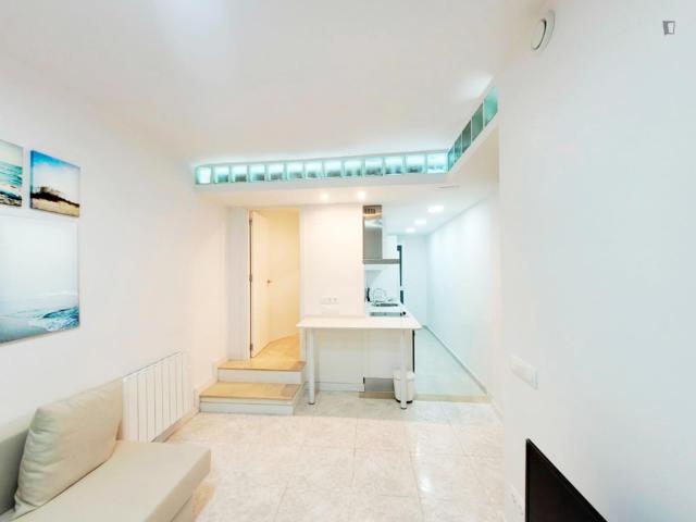 1 bedroom apartment
