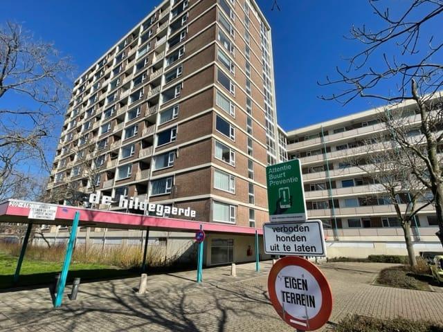 1 bedroom Appartement Surface Area: 76m2