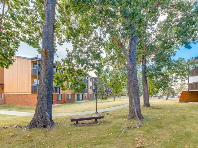 1 Bedroom at Applewood Village
