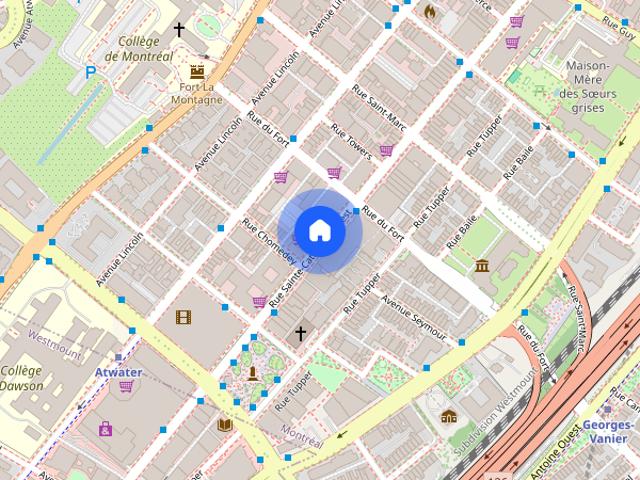 1 Bedroom Available At 1350 Du Fort Street, Montreal 1350 Du Fort Street, Montréal