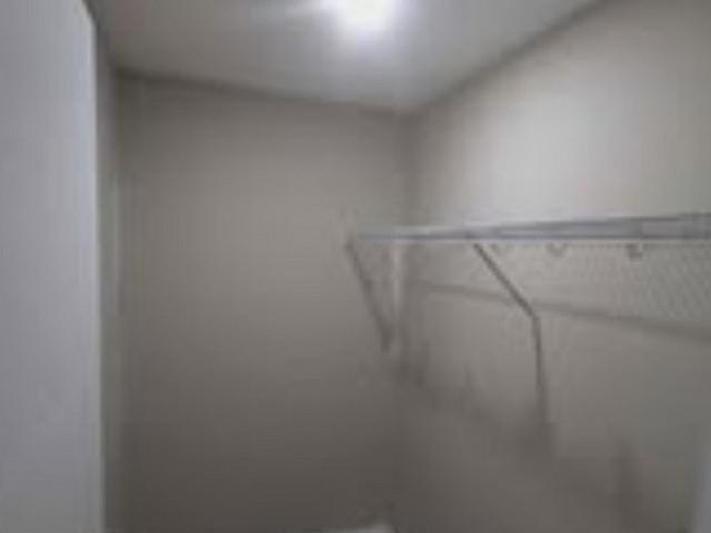 1 Bedroom Basement