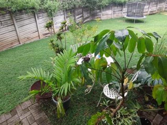 1 Bedroom Garden Cottage in Sonheuwel