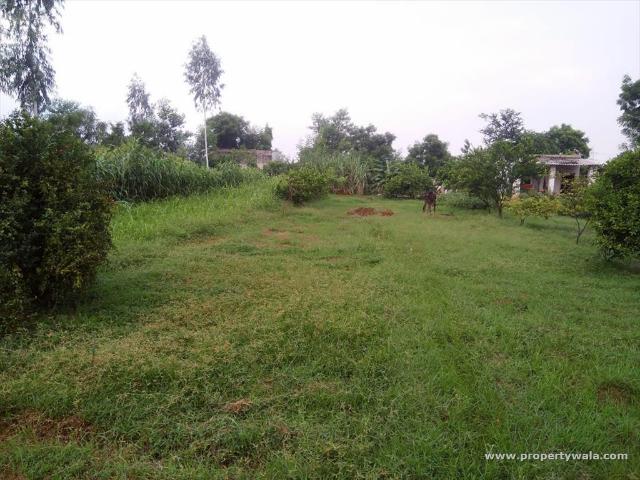 1 Bedroom Farm House for sale in Sirohi, Faridabad P42121