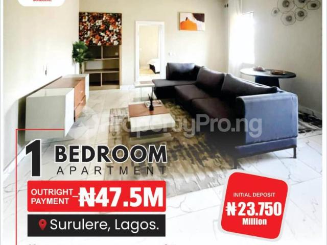 1 Bedroom Flat / Apartment in Surulere Lagos | Flat / Apartment for sale in surulere | Flat / Apartment in surulere | 1 Bedroom | PropertyPro Nigeria