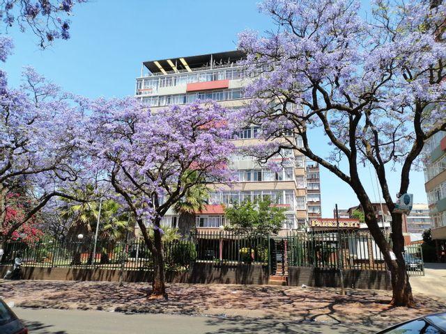 1 Bedroom Flat For Sale in Pretoria Central
