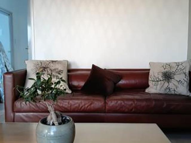 1 Bedroom Flat in Pinelands