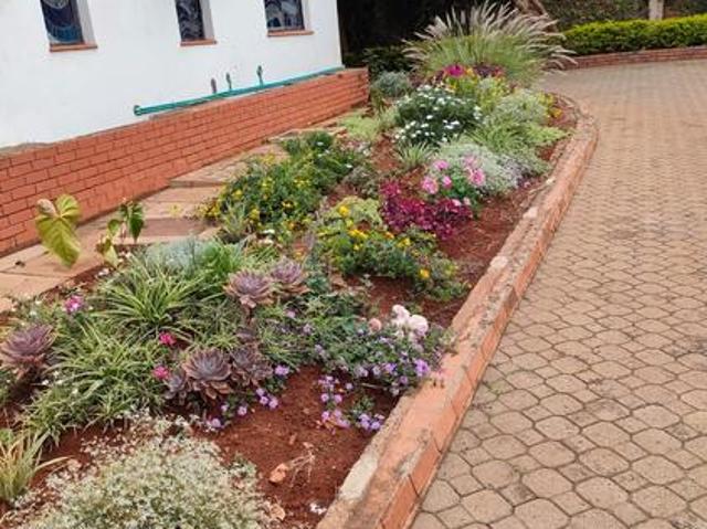 1 bedroom furnished Houset in Nyari