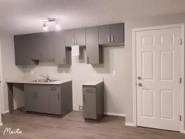 1 Bedroom House Edmonton AB 102915128