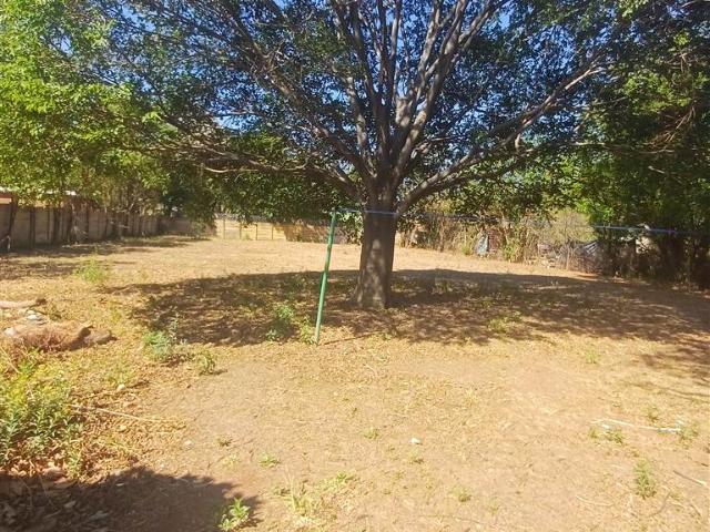 1 Bedroom House in Lyttelton Manor