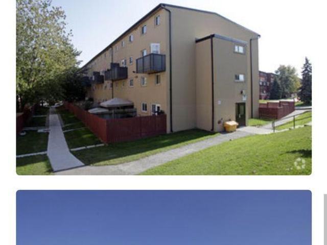 1 Bedroom Shared Living/roommate Mississauga ON 96648041