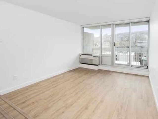 1 Bedroom Shared Living/roommate Montreal Montreal 97670513