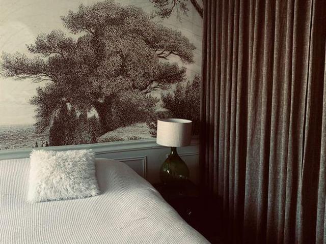 1 Bedroom Shared Living/roommate Montréal QC 97420999