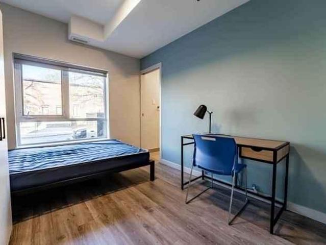 1 Bedroom Shared Living/roommate Ottawa Ottawa 99491611