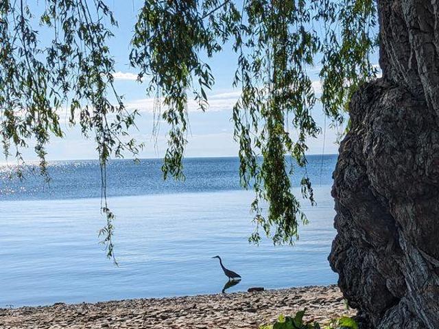 1 Bedroom Shared Living/roommate Oakville ON LS97415419
