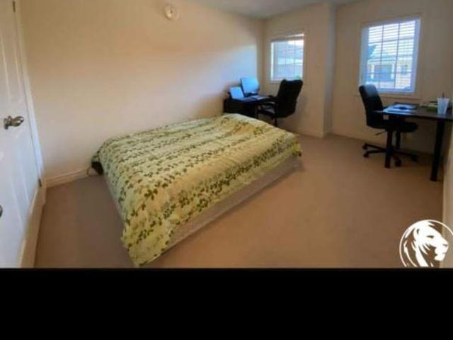 1 Bedroom Shared Living/roommate Brampton ON 97418796