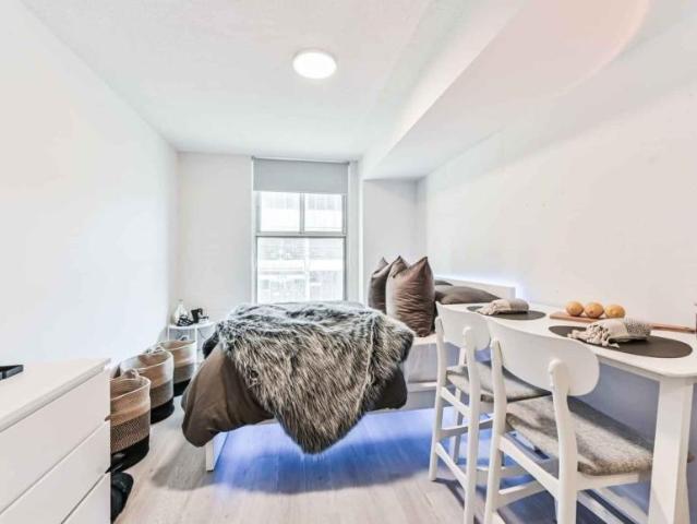 1 Bedroom Shared Living/roommate Downtown Downtown 99489416