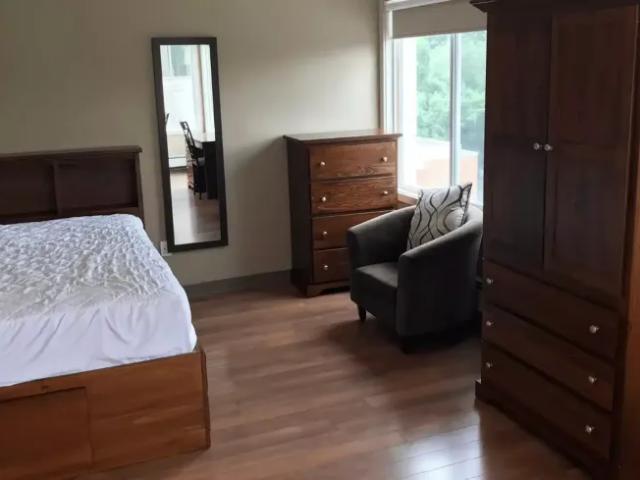 1 Bedroom Shared Living/roommate Edmonton Edmonton 99490578
