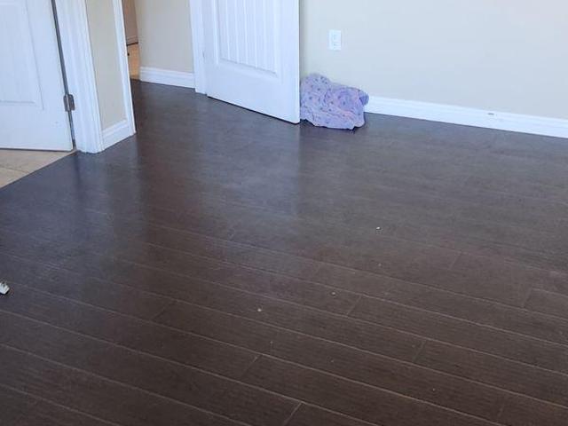 1 Bedroom Shared Living/roommate Grimsby ON LS97413525