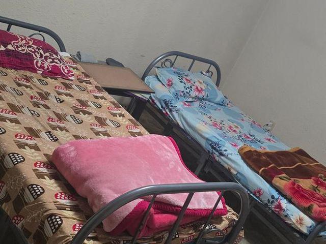 1 Bedroom Shared Living/roommate Surrey BC 96645316