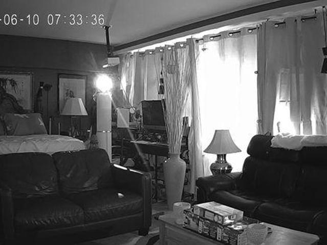 1 Bedroom Shared Living/roommate Toronto ON 97415032