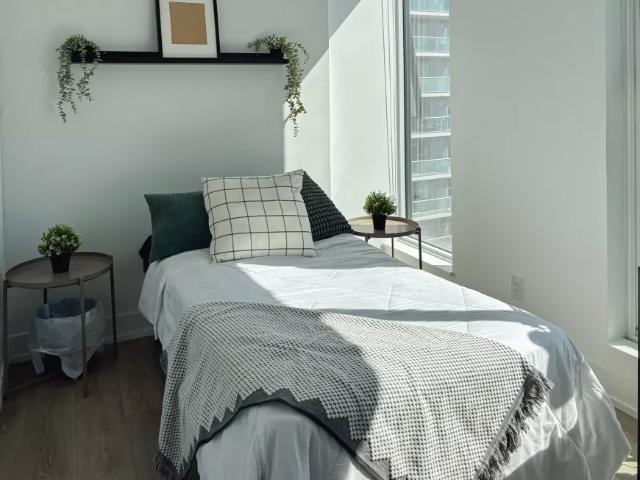 1 Bedroom Shared Living/roommate Toronto Toronto LS97673568
