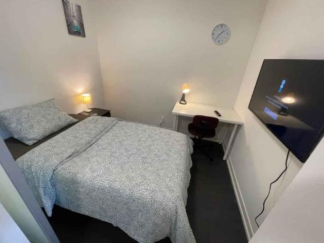1 Bedroom Shared Living/roommate Toronto Toronto LS97771786