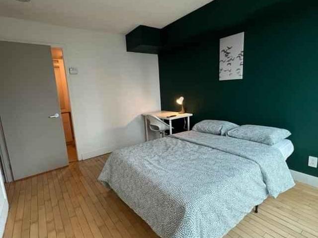 1 Bedroom Shared Living/roommate Toronto Toronto LS97829210