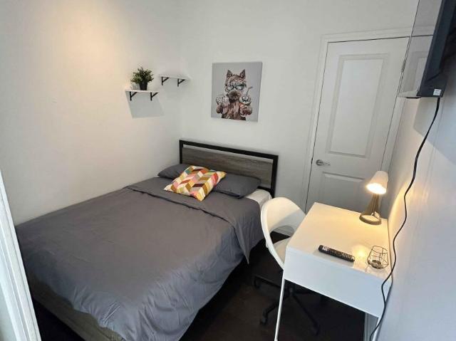 1 Bedroom Shared Living/roommate Toronto Toronto LS99488101