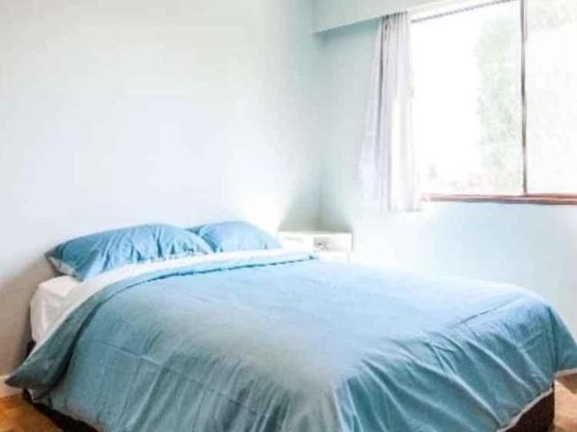 1 Bedroom Shared Living/roommate Vancouver Vancouver 99498225