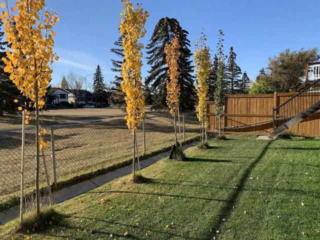 1 Bedroom Suite In Riverbend With Private Walkout Deck