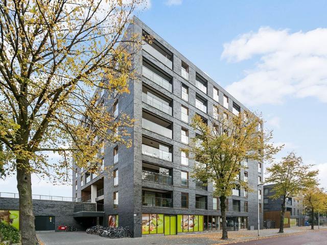 1 bedroom Surface Area: 33m2