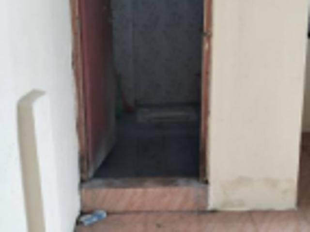 1 BHK 450 Sq. Ft Apartment for rent in Saidapet, Chennai