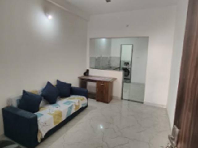 1 BHK 550 Sq. Ft Apartment for rent in Nipania, Indore