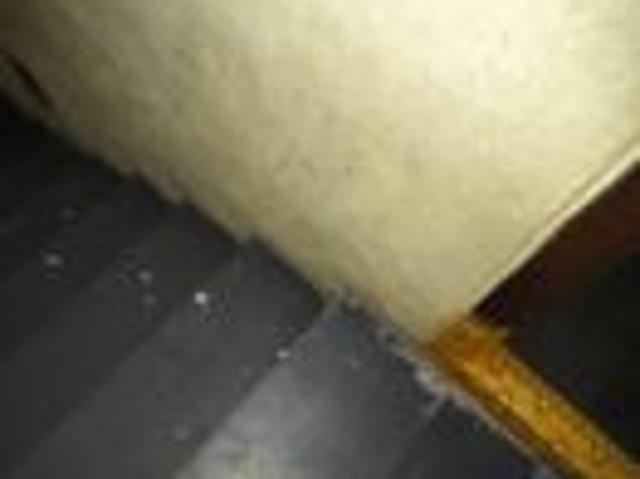 1 BHK 80 Sq. Ft Apartment for rent in Chintal, Hyderabad