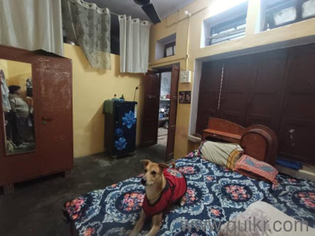 1 BHK 1000 Sq. Ft Apartment for rent in Daliganj, Lucknow