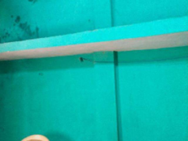 1 BHK 300 Sq. Ft Apartment for rent in Periyamet, Chennai