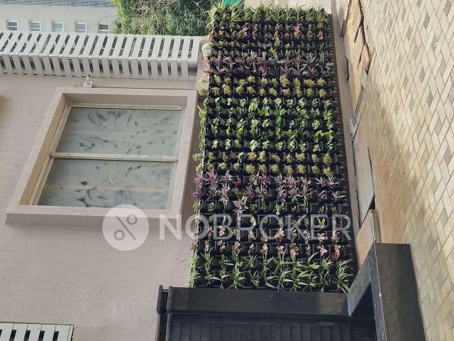 1 BHK Villa In Aratt Premier for Rent In Whitefield